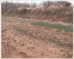  2025Ÿ��20277 �泲 ����� ������ ��縮 281-1      ����(��1)���