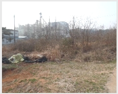  2025Ÿ��20277 �泲 ����� ������ ��縮 281-1      ����(��1)���