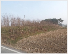  2025Ÿ��20277 �泲 ����� ������ ��縮 281-1      ����(��1)���