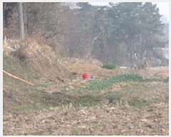  2025Ÿ��20277 �泲 ����� ������ ��縮 281-1      ����(��1)���