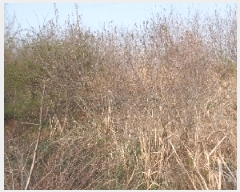  2025Ÿ��20277 �泲 ����� ������ ��縮 281-1      ����(��1)���