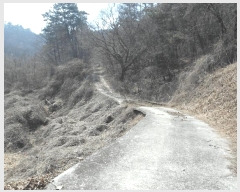  2025Ÿ20282 泲 ο ȭ õ縮 209      (Ӿ)