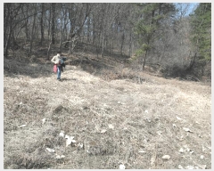  2025Ÿ20282 泲 ο ȭ õ縮 209      (Ӿ)