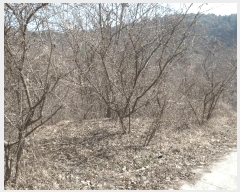  2025Ÿ20282 泲 ο ȭ õ縮 209      (Ӿ)