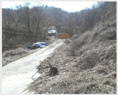  2025Ÿ20282 泲 ο ȭ õ縮 209      (Ӿ)