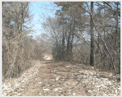  2025Ÿ20282 泲 ο ȭ õ縮 209      (Ӿ)