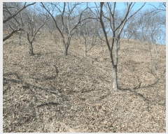  2025Ÿ20282 泲 ο ȭ õ縮 209      (Ӿ)