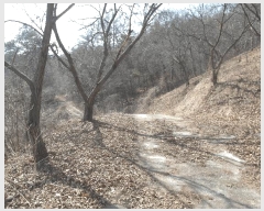  2025Ÿ20282 泲 ο ȭ õ縮 209      (Ӿ)