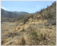  2025Ÿ��20290  �Ӿ߰��