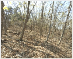  2025Ÿ��20290  �Ӿ߰��