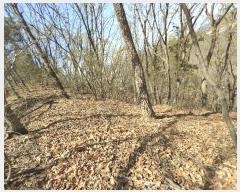  2025Ÿ��20290  �Ӿ߰��