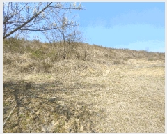  2025Ÿ��20290  �Ӿ߰��