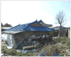  2025Ÿ��20295  �������