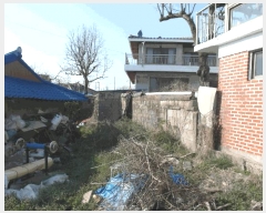  2025Ÿ��20295  �������