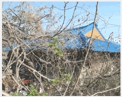  2025Ÿ��20295  �������