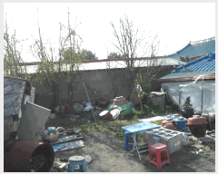  2025Ÿ��20295  �������