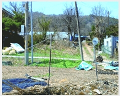  2025Ÿ��20300  �����