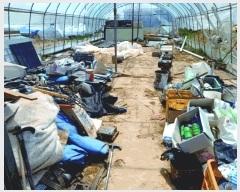  2025Ÿ��20300  �����