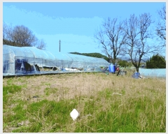  2025Ÿ��20300  �����