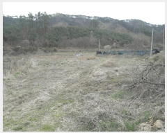  2025Ÿ��20305 �泲 ����� ����� ������ 78      ����(��1)���