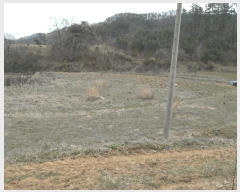  2025Ÿ��20305 �泲 ����� ����� ������ 78      ����(��1)���