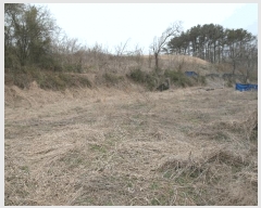  2025Ÿ��20305 �泲 ����� ����� ������ 78      ����(��1)���