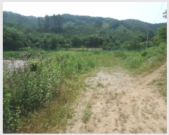  2025Ÿ��20305 �泲 ����� ����� ������ 78      ����(��1)���