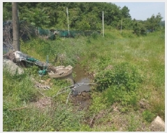  2025Ÿ��20305 �泲 ����� ����� ������ 78      ����(��1)���