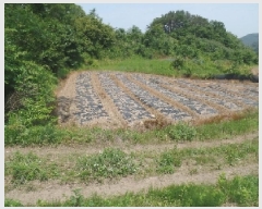  2025Ÿ��20305 �泲 ����� ����� ������ 78      ����(��1)���