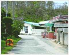  2025Ÿ��20309  ���ð��