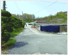  2025Ÿ��20309  ���ð��