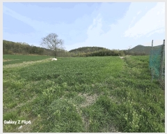  2025Ÿ��20311 �泲 ����� ���̸� �ݾϸ� 356-1      ����(��1)���