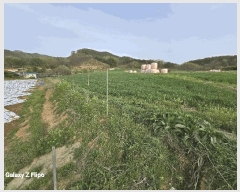  2025Ÿ��20311 �泲 ����� ���̸� �ݾϸ� 356-1      ����(��1)���