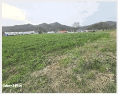  2025Ÿ��20311 �泲 ����� ���̸� �ݾϸ� 356-1      ����(��1)���