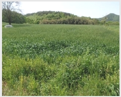  2025Ÿ��20311 �泲 ����� ���̸� �ݾϸ� 356-1      ����(��1)���