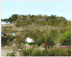  2025Ÿ��20315 �泲 ����� ����� ���긮 441-14      ����(�Ӿ�)���