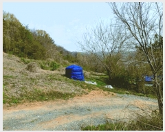  2025Ÿ��20315 �泲 ����� ����� ���긮 441-14      ����(�Ӿ�)���