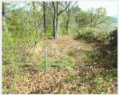  2025Ÿ��20315 �泲 ����� ����� ���긮 441-14      ����(�Ӿ�)���