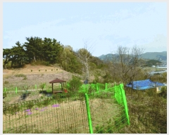  2025Ÿ��20315 �泲 ����� ����� ���긮 441-14      ����(�Ӿ�)���