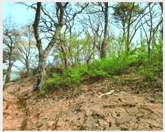  2025Ÿ��20315 �泲 ����� ����� ���긮 441-14      ����(�Ӿ�)���