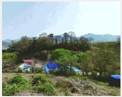  2025Ÿ��20315 �泲 ����� ����� ���긮 441-14      ����(�Ӿ�)���