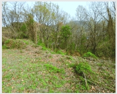  2025Ÿ��20315 �泲 ����� ����� ���긮 441-14      ����(�Ӿ�)���