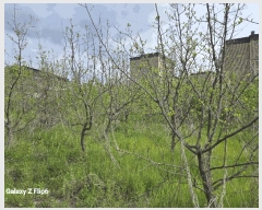  2025Ÿ��20325  �����