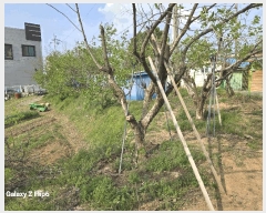  2025Ÿ��20325  �����