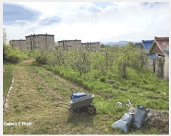  2025Ÿ��20325  �����