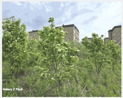  2025Ÿ��20325  �����