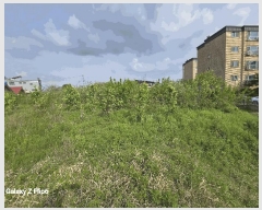  2025Ÿ��20325  �����