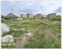  2025Ÿ��20325  �����