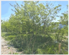  2025Ÿ��20332 �泲 ����� ������ ���긮 529-65      ����(�Ӿ�)���