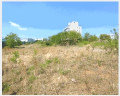  2025Ÿ��20332 �泲 ����� ������ ���긮 529-65      ����(�Ӿ�)���